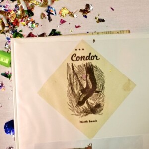 condor-50-001